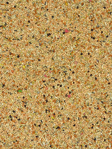 PF.png