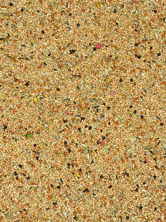 PF.png